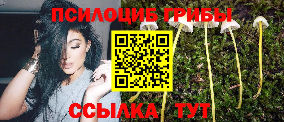Дербент  Галлюциногенные грибы мицелий  Галлюциногенные грибы мицелий  Вход с VPN 